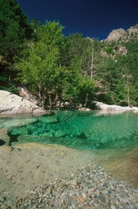 Gorges de la Restonica