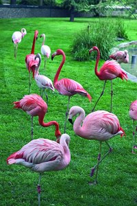 Jardin des Plantes